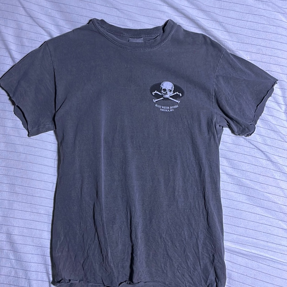 Grey beatings will continue t-shirt